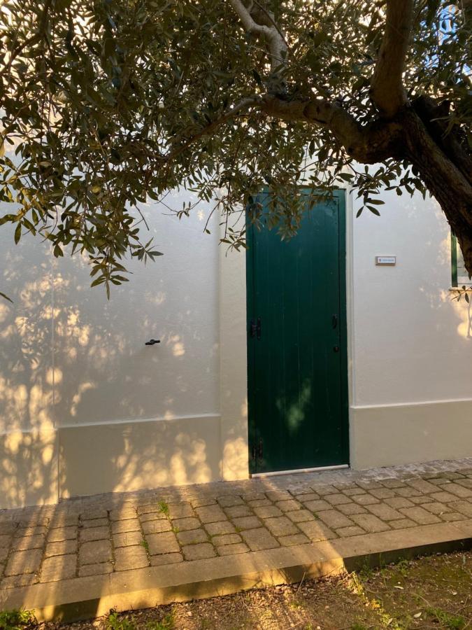 Agriturismo Colle Igino Matera Exterior foto